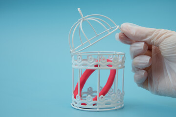A hand in a medical glove opens the door of the cage in which the coronavirus omicron is located....
