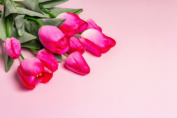 Bouquet of bright pink tulips on matte rosy background