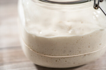 Sourdough starter