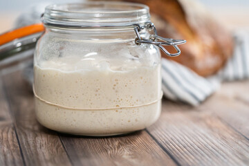 Sourdough starter