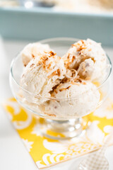 Coconut ice cream