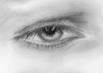 Fototapeta premium Monochrome pencil drawn eye. Hand drawn eye close up on a white background. Art fashion illustration on paper texture. Black and white realistic eye with grey shadows