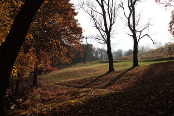 Naklejka premium Fall Landscape