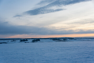 A field in the snow. Morning frosty sky at dawn.