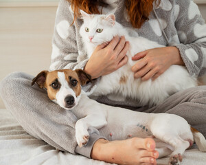 Caucasian woman holding a white fluffy cat and Jack Russell Terrier dog while sitting on the bed....