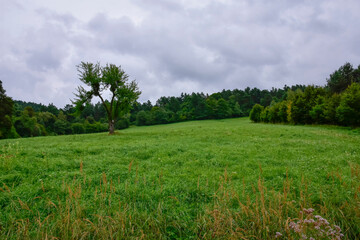 Bieszczady Mountains, beautiful natural landscape on a summer afternoon in the rain. 