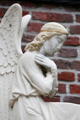 Faith and spirituality. Catholic church.