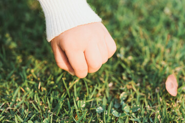 Little girl hand touching with green grass. Sensory body learning to grow. Greensward background. Empty space. - Powered by Adobe