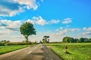 Sunny landscape with blue sky and clouds in Germany, through which a tree-lined country road leads.