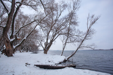 Old boat on the shore in a snowdrift in winter surrounded by trees. The water in the lake is not...