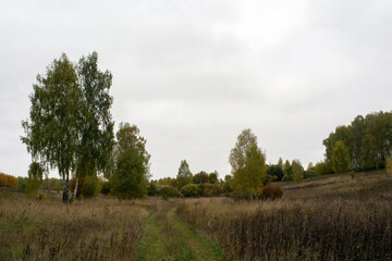 landscape on a cloudy autumn day