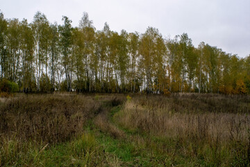 landscape on a cloudy autumn day