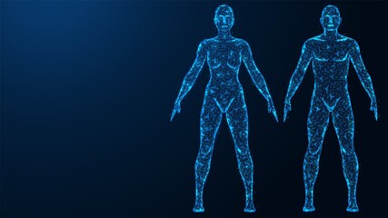 Human anatomy. The physical body of a woman and a man. Polygonal design of thin lines and dots. Blue background.