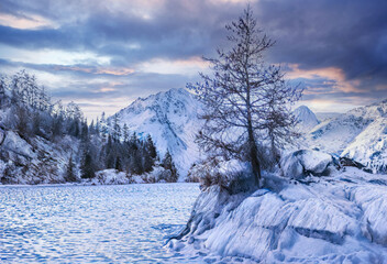 Paysage de montagne recouvert de neige dans le massif du parc du Mercantour dans les Alpes du Sud...