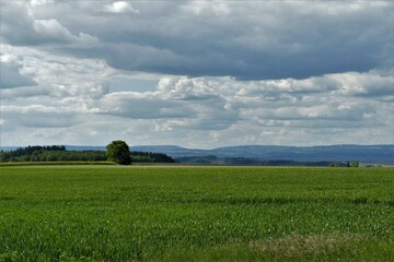Landschaften mit grünen Feldern und Bergen im Donnersberger Land
