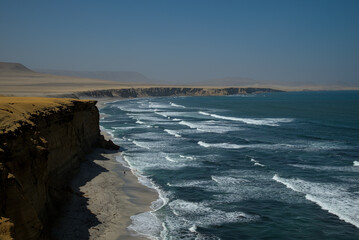 Local fisherman walks peru beach placing nets traps to provide food for his family traditional peruvian fishing techniques on national reserve.