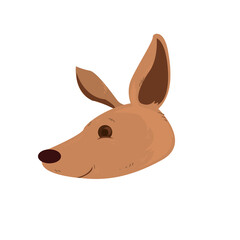 pretty kangoroo face