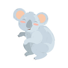 cute gray koala