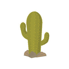 green cactus design