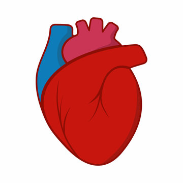 Human heart icon isolated on white background. Flat style isolated vector illustration