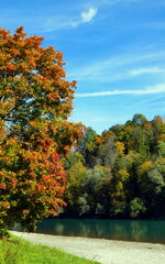 malerisches Herbstmotiv mit Wald, buntem Laub und Weg längs des Flusses Inn unter blauem Himmel