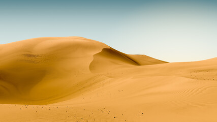 Fototapeta na wymiar Dark yellow dunes and pale sky. Desert dunes landscape with contrast skies. Minimal abstract background. 3d rendering