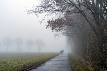 Spaziergänger im Nebel