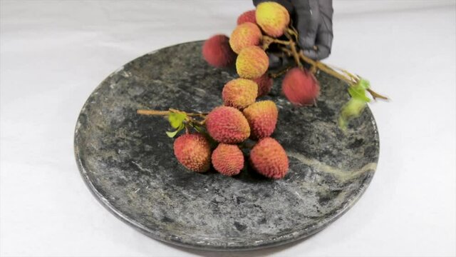 Lychee (Litchi chinensis) ripe fruit in fine detail, handled with black gloves