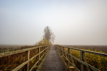 Fototapeta premium Federseesteg