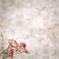 square stylish old textured paper background with cream and dark red carnation flower 