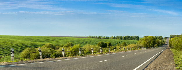 Naklejka premium Asphalt road at springtime and green fields of winter wheat on the horizon.
