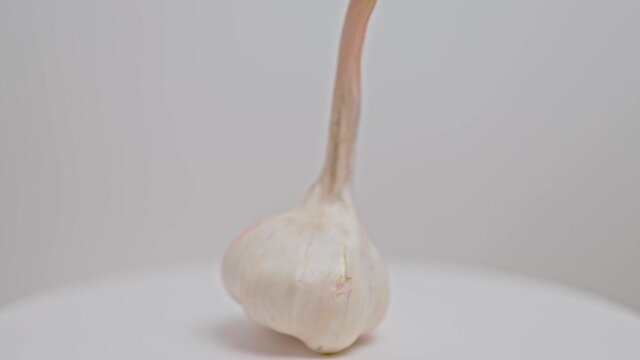 Close up view of a young garlic isolated on  background. Beautiful background.