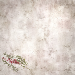 stylish textured old paper background with small branch of pink pepper tree with fruit
