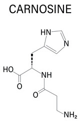Carnosine or L-carnosine food supplement molecule. Skeletal formula.