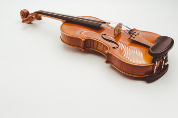 acoustic violin on a white background with copy space