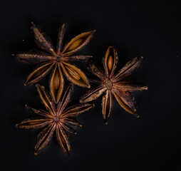 star anise isolated on dark background