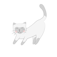 cute kitten stretching siamese cat