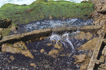 Trickling Water at the Pacific 