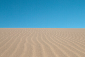 Dunas da Praia da Joaquina - Florianópolis, Santa Catarina - Brasil