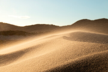 Dunas da Praia da Joaquina - Florianópolis, Santa Catarina - Brasil