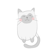 cute sitting kitty favorite pet