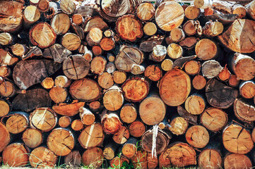 A pile of wood to burn in the fire place