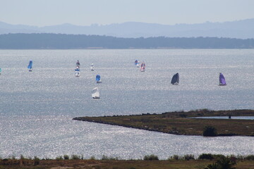 Sailing Boats North Bay