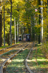 Niebieski tramwaj jedzie przez jesienny park po torach.  - obrazy, fototapety, plakaty