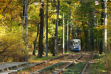 Niebieski tramwaj jedzie przez jesienny park po torach. 