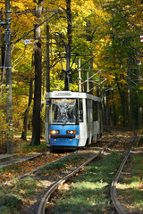 Niebieski tramwaj jedzie przez jesienny park po torach.  - obrazy, fototapety, plakaty