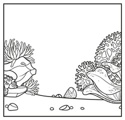 Simple square background with the anemones, stones and corals linear drawing for coloring on a white