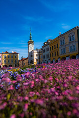 view of the town