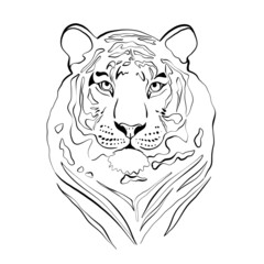 illustration of a tiger in lines