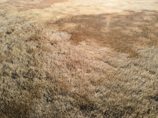 Fototapeta premium Aerial Autumn view of Aldomirovtsi marsh, Bulgaria